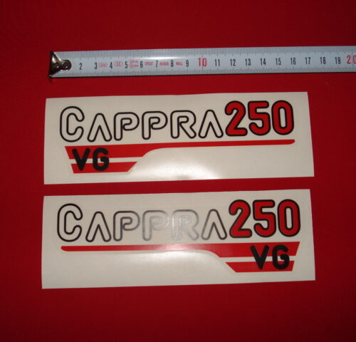 ADHESIVOS MONTESA CAPPRA 250 VG