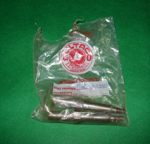 PIVOTES EJE ZAPATAS REF 1506006