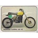 CAPPRA 250 VE